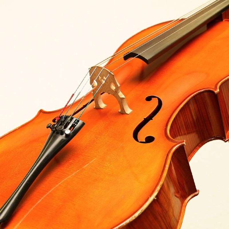 Violoncello