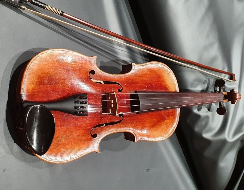 Viola